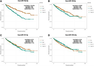 A Four-MicroRNA Panel in Serum as a Potential Biomarker for Screening Renal Cell Carcinoma